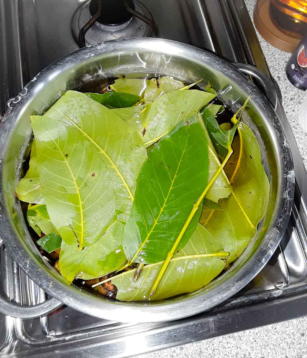 Walnussschalen und Blätter, bereit zum Auskochen