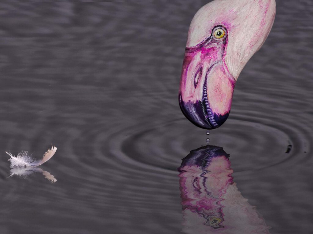Auswilderungsprojekt: Bemalter Stein Flamingo mit Wasserspiegelung