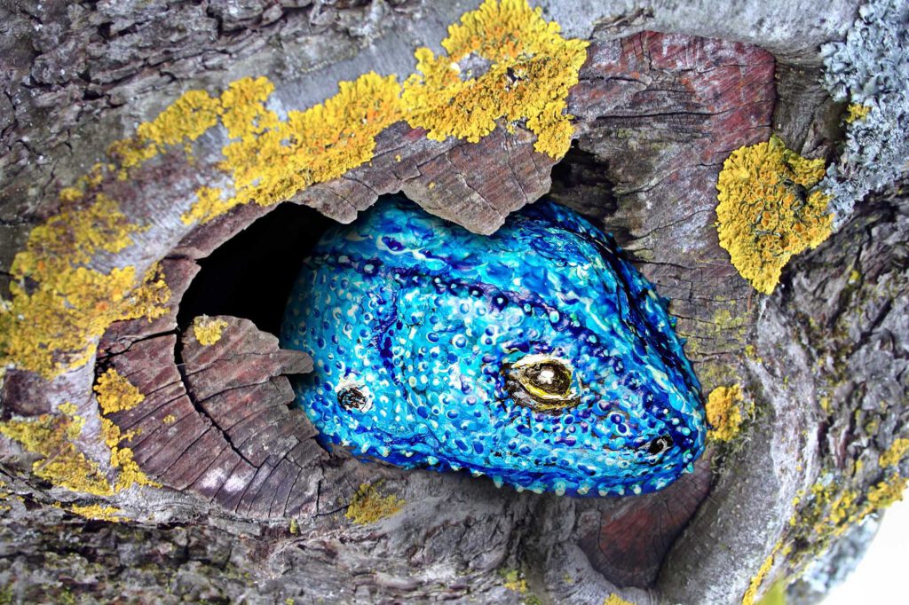 Auswilderungsprojekt: Bemalter Stein Blaue Agame in Baumhöhle
