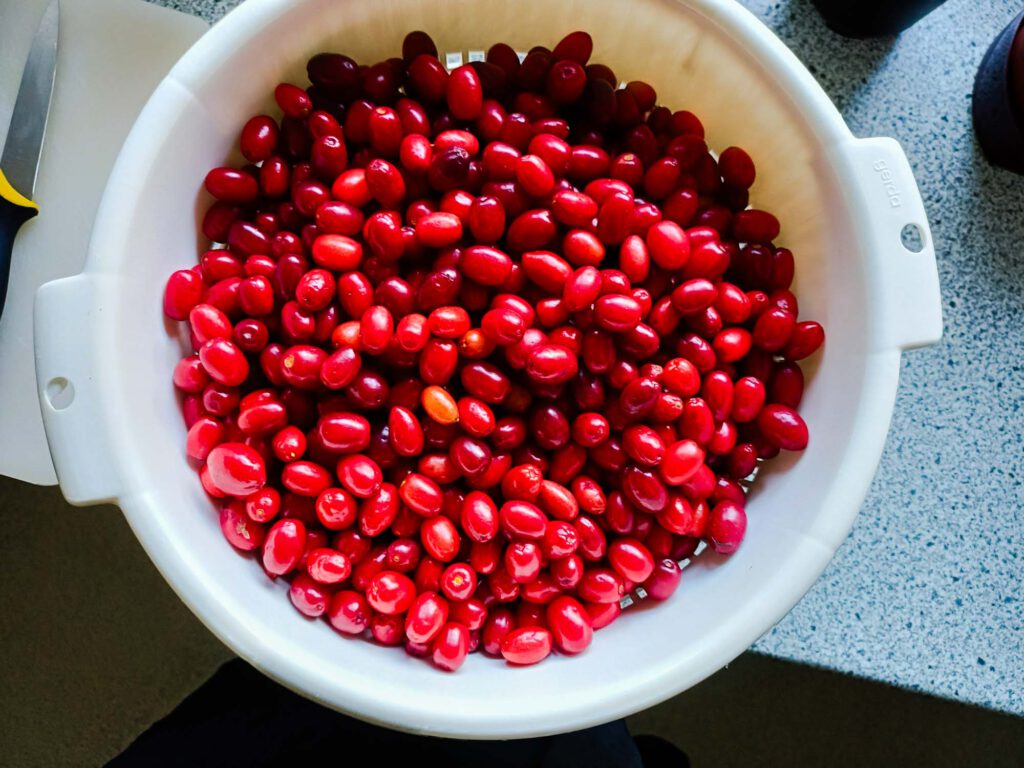 Kornelkirschen entkernen steht bevor