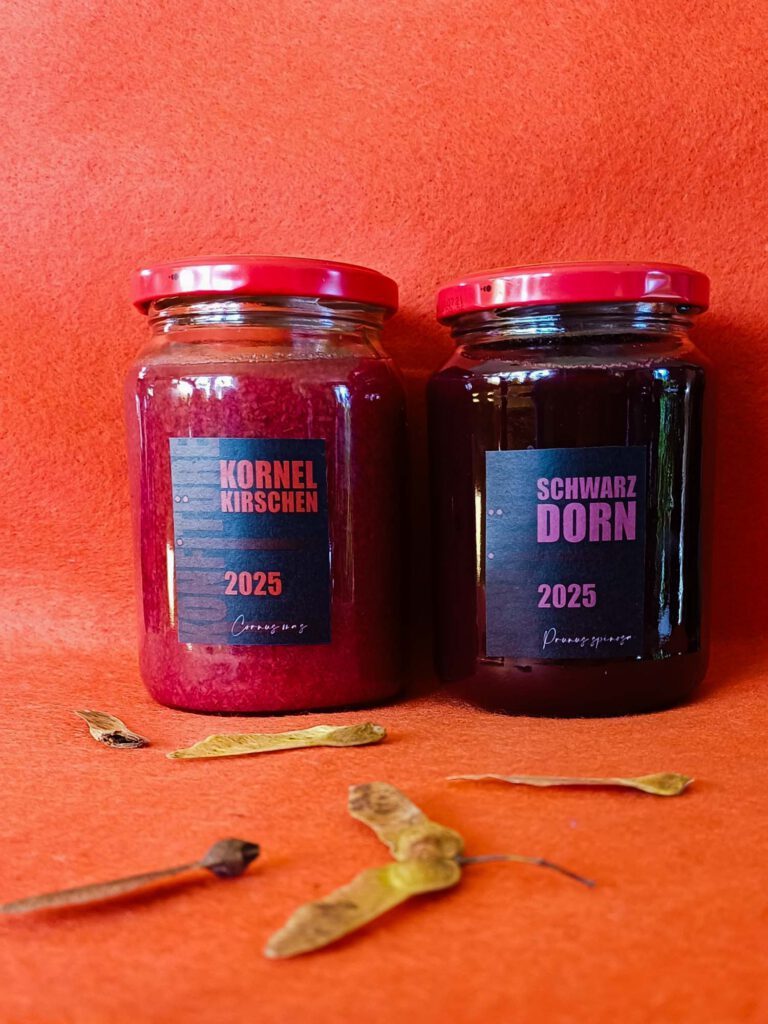 Kornelkirschen-Marmelade und Schlehen-Marmelade