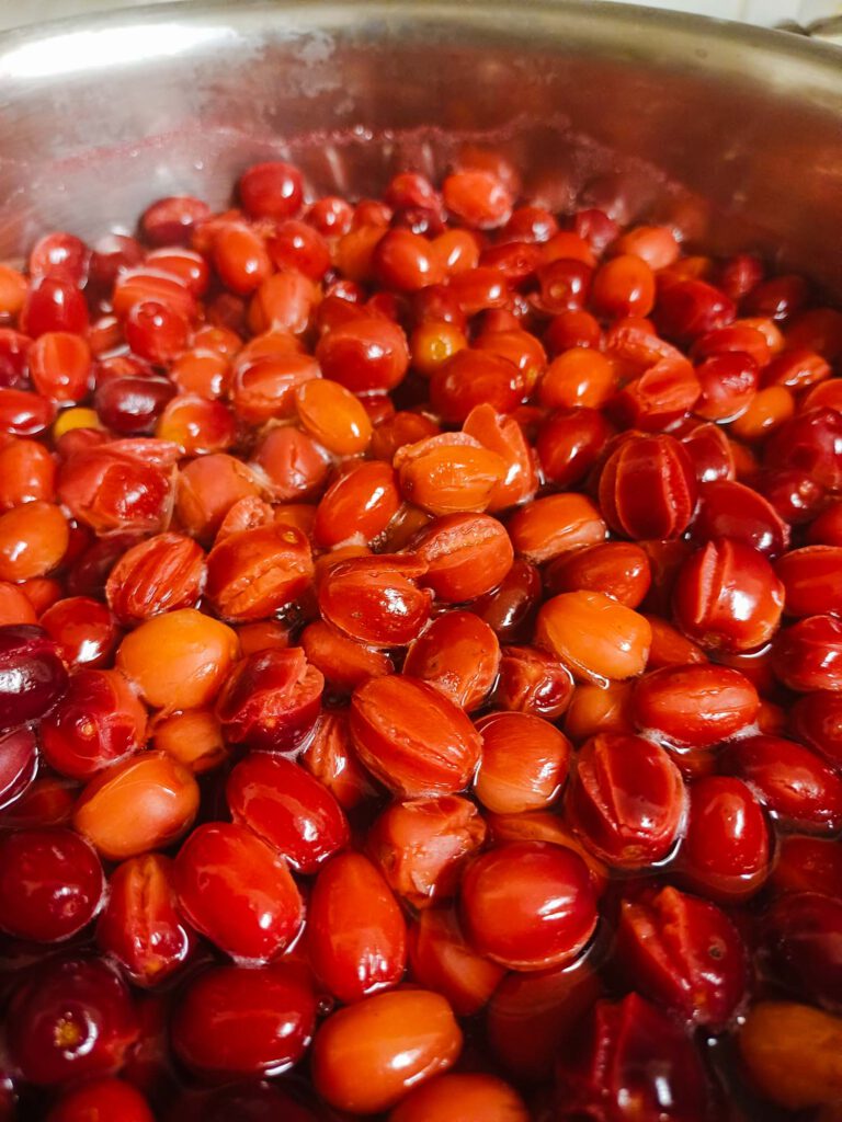 Geplatzten Kornelkirschen